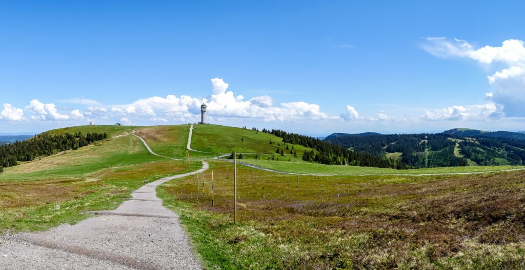 Panoramablick auf den Feldberg im Schwarzwald