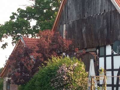 Pferdehof Siekmann Pferdehof Siekmann