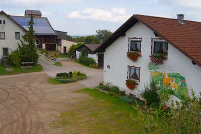 Haflingerhof Doll Haflingerhof Doll